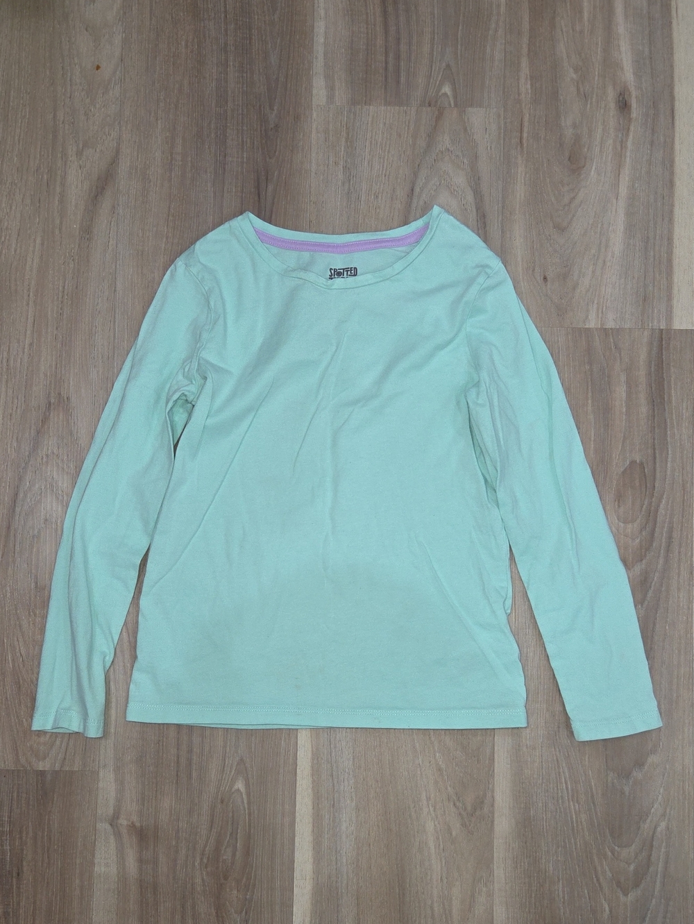 •Spotted Zebra• Little Girls Teal Long Sleeve Tee